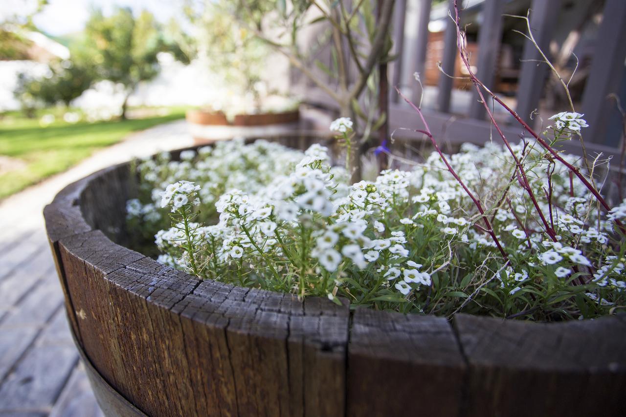 The Browns' - Luxury Suites Dullstroom Buitenkant foto